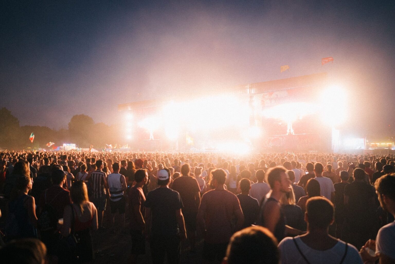 Tauben bei Open-Air-Events: Was Veranstalter wissen müssen